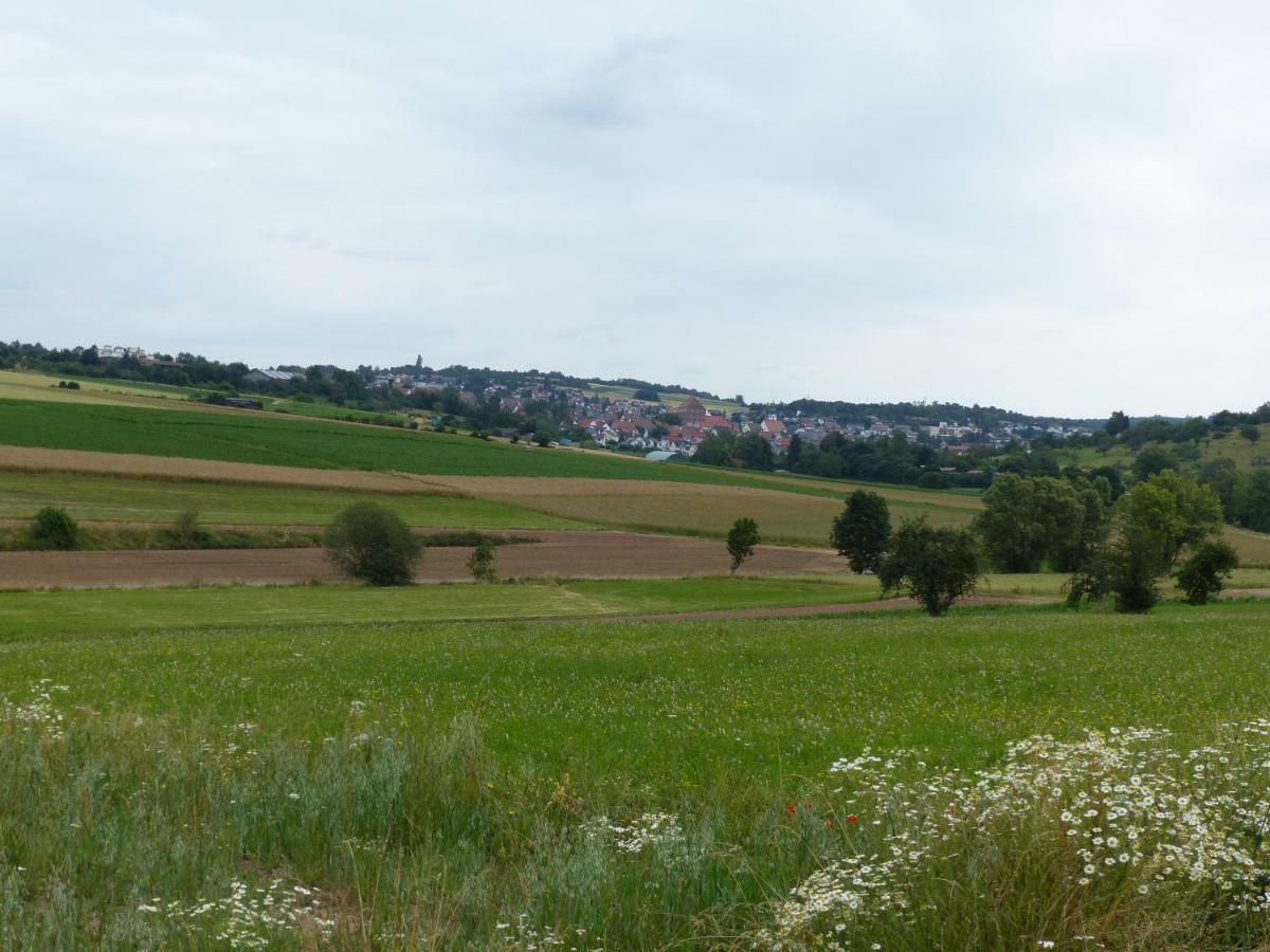 Ferienwohnung Heimsheim מראה חיצוני תמונה